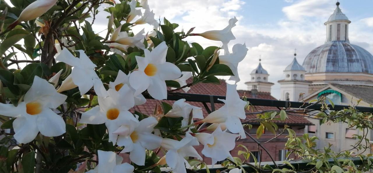 Una Favolosa Terrazza Nel Centro Di Roma Eksteriør billede
